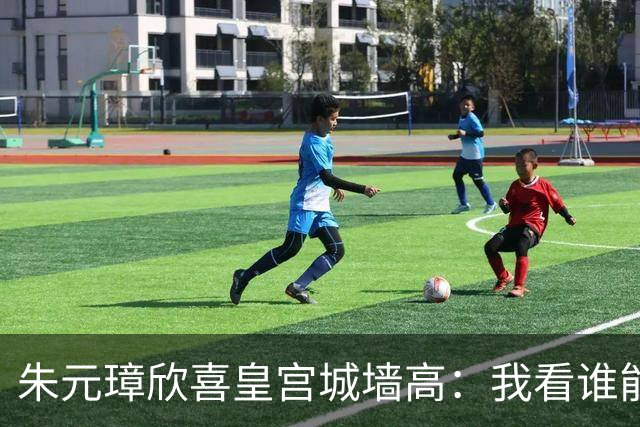 朱元璋欣喜皇宫城墙高：我看谁能越过它。刘伯温却说：燕子能飞过。46年后燕王朱棣登基